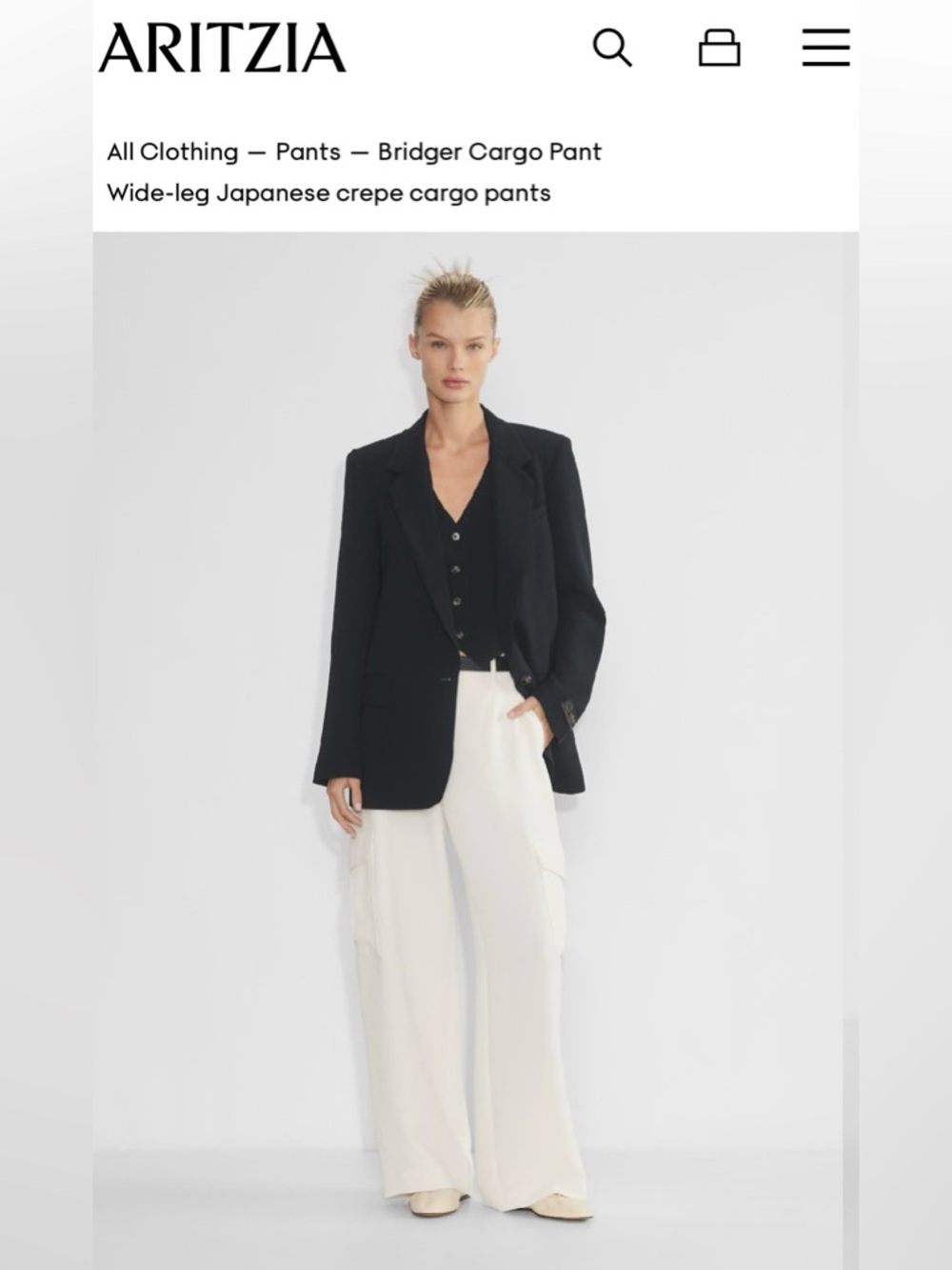 Aritzia Bridger Cargo Pant